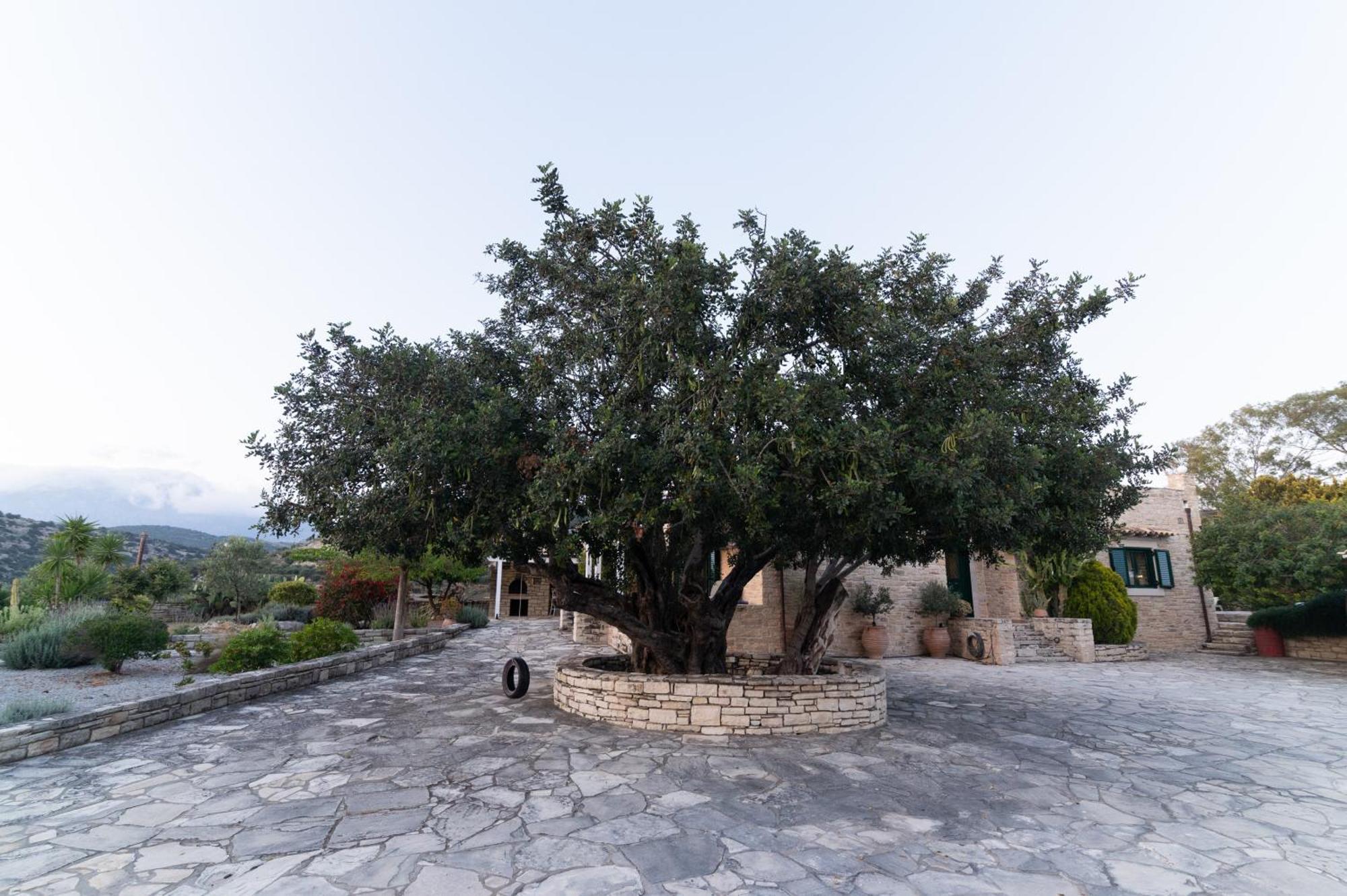 Carob Villa Moirai Ngoại thất bức ảnh